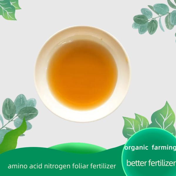 Peptides Calcium chélaté 2-0-0 + 5 Ca protéines hydrolysées à base d'azote organique liquide engrais pour l'agriculture