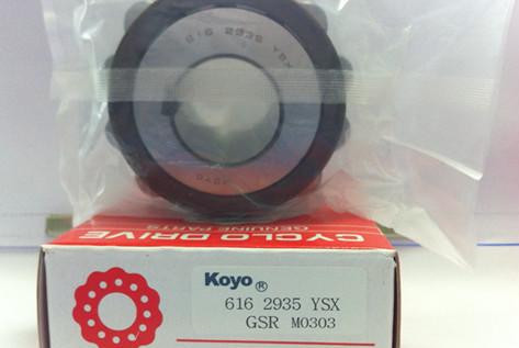 Eccentric Bearing 6092529 YSX
