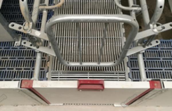 baby pig used nursery weaning crate weaning fence for piglets