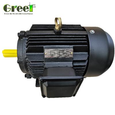Motor síncrono de ímã permanente de 5mw 3mw 6 polos