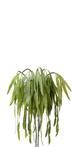 Spinulosa Fern Plants Bushes Fake Shrubs Greenery Plants Faux Fern Snakewood Outdoors UV Resistant Garden Plants