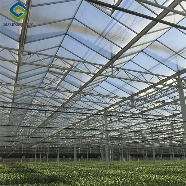 Commercial Lettuce Greenhouse Low Maintenance Weather Resistant