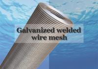 10 Gauge Galvanizado Selded Wire Mesh Pr para reforço duradouro