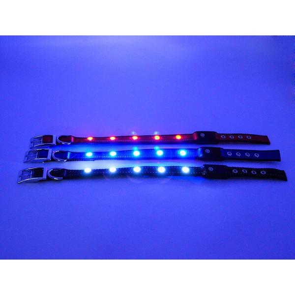 УСБ перезаряжаемые делает освещенное яркое водостойким воротников собаки супер для безопасности видимости ночи