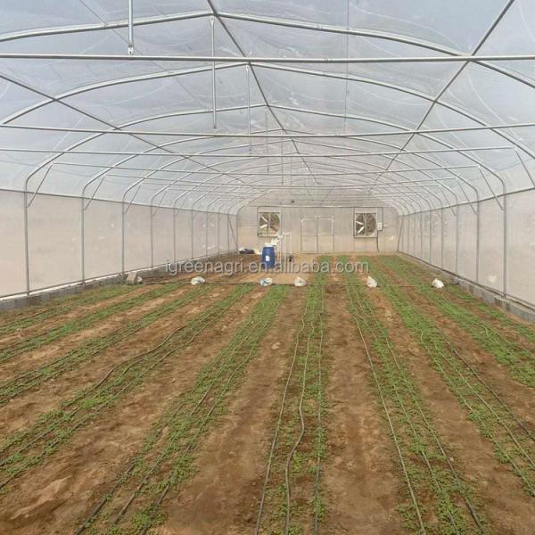PE Cooling System Agricultural Greenhouse Flower Growing Galvanized Steel Greenhouse