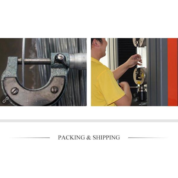 Drawn Wire Gi Binding Wire Hot Dipped Galvanized Iron Steel Wire with CCC Certification