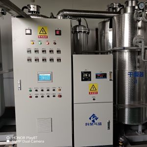 Pressure Vessel Certified Low Maintenance Cost Nitrogen Gas Generation Purifier