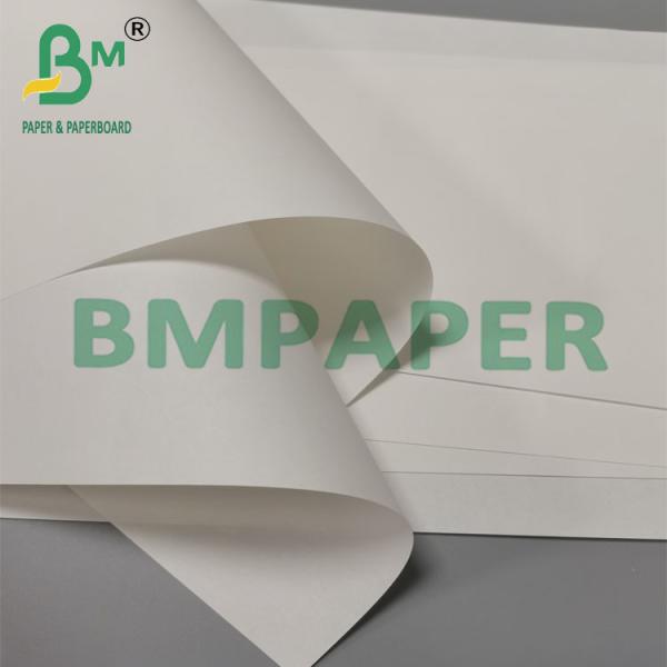 40g Tear Resistant Silicone Coated Greaseproof Paper 535mm Width