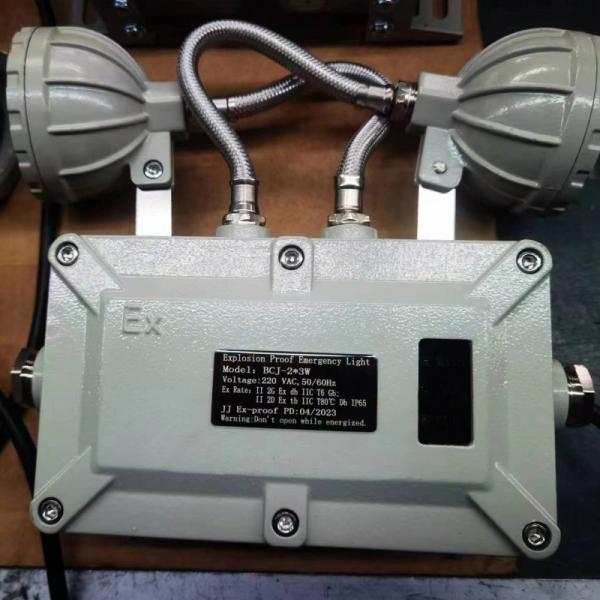 220V 2*3W Explosion Proof Emergency Lights Double Head  Atex Ex Lighting Fixtures