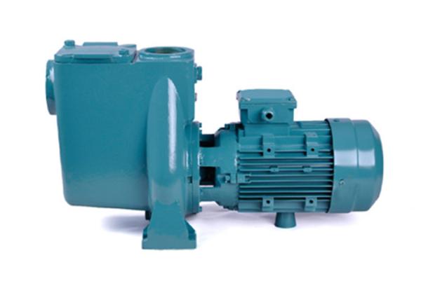 4hp Water Circulation Pump High Pressure For Indoor Outdoor Swimming Pool