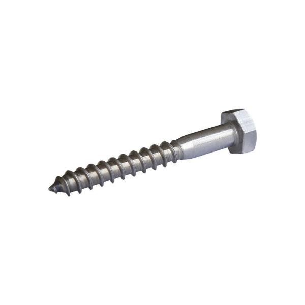 Stainless steel wood screws customized