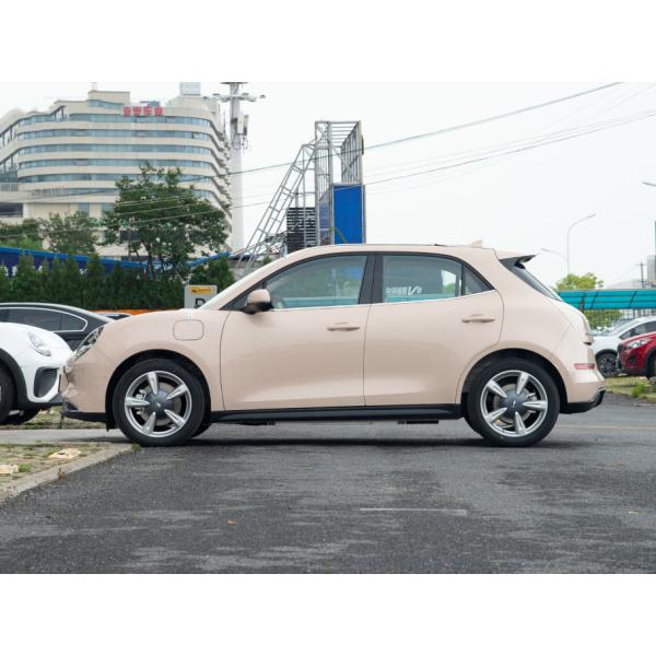 Кот Morandi Ora хороший с седанов высокой эффективности электрического автомобиля 501km дороги