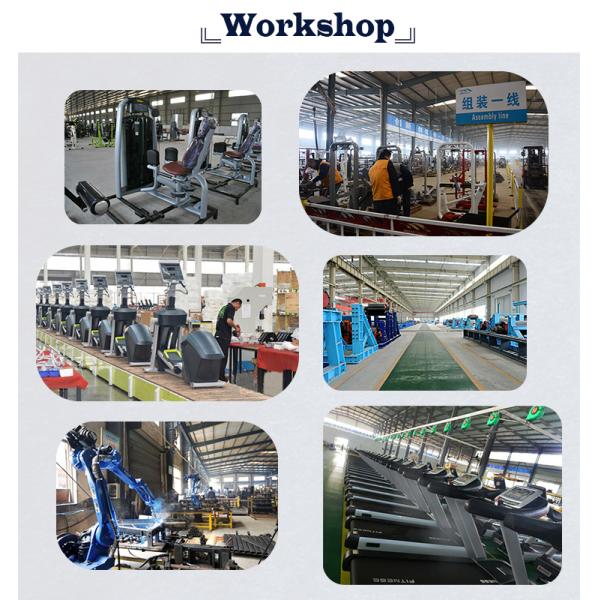 Famous brand lifefitness strength gym machines,seated abdominal machine