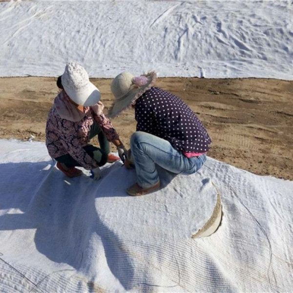 Geosynthetic Clay Liner for Underground Waterproofing Basement Protection and Construction Engineering