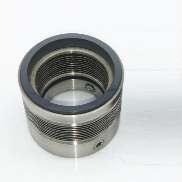 Metal Bellow  BSAI  Wave Spring  Industrial Mechanical Seals