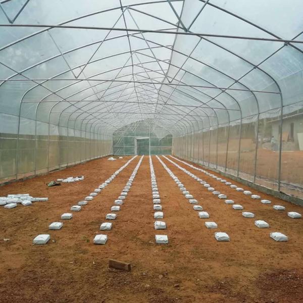 Estrutura de aço Estufa de plástico Estufa de 0,12 mm-0,2 mm Espessura Temperatura 0-50°C
