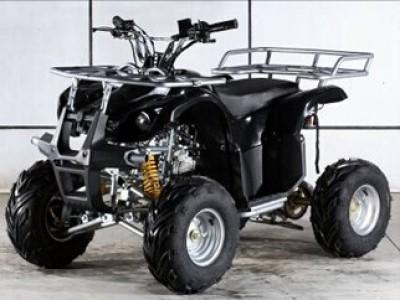 50cc/110cc Air Cooled Full Automatic ATV for Children