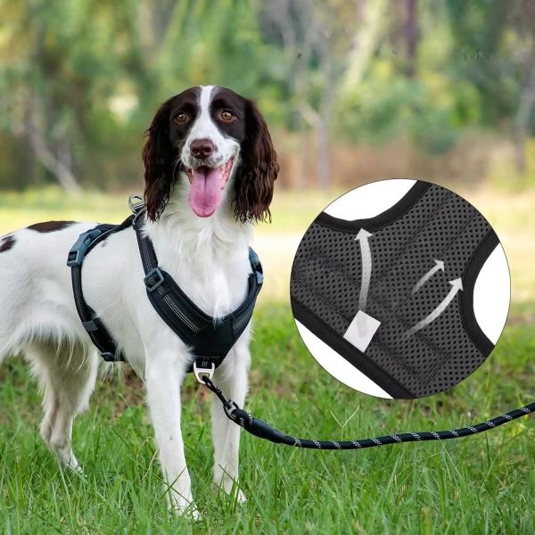 H Shape Comfortable Dog Harness Waterproof Pet Harness Leather Front Chest Design For Summer Use