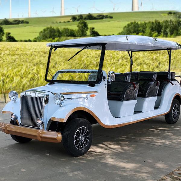 DOT Golf Chariot 48V/60V/72V Controller and Powerful AC 3.0KW/3.5KW/4.0KW/5.0KW Motor