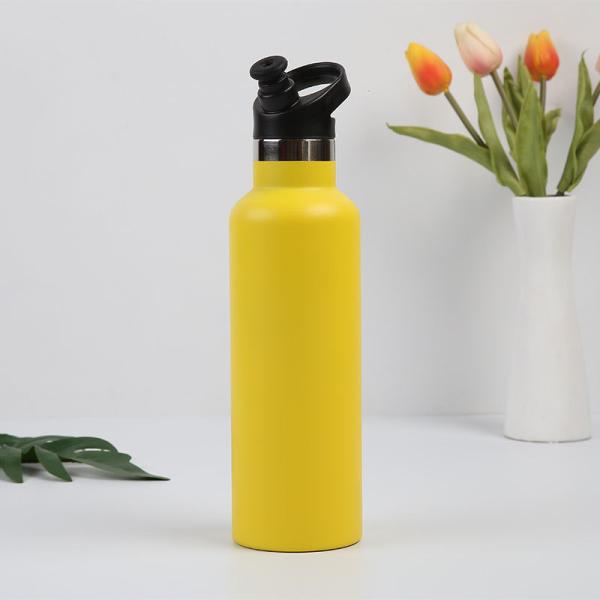 Insulated Bpa Free Double Wall Stainless Steel Vacuum Flask With Lids Customized