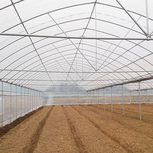 Film Cover Fiber Glass Greenhouse 8m Tunnel Width With Cooling Pad