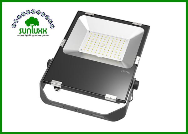 Black Color Shell 80W LED Area Flood Lights HLG Meanwell Driver Model