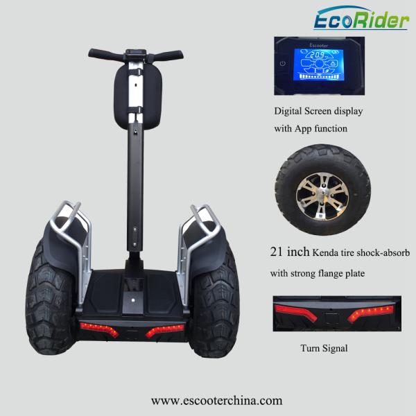Lithium Battery Segway Electric Scooter , 2 Wheel Self Balancing Electric Chariot
