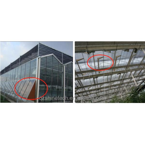 Shine Tech Automated Greenhouse Glass House Instruction Super Strong Resistance