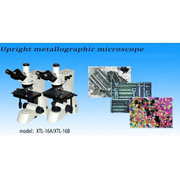 Микроскоп отражения серии XTL-16 Metallographic оборудованный с окуляром WF10X большим