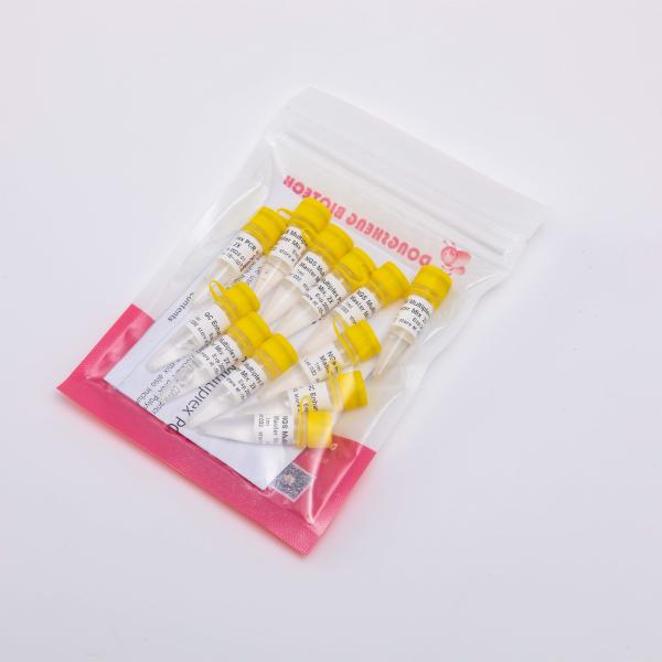 40/400/2000 Reactions 2X NGS Multi Plex PCR NM1001 NM1002 NM1003