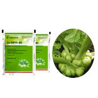 Insecticides biologiques organiques WP Pesticide naturel en poudre Polyédrose nucléaire Virus SeNPV Effet sur le ver du chou