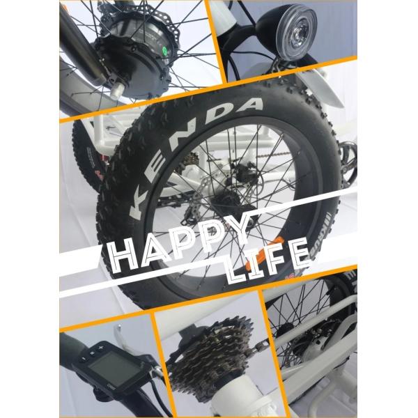 Green Travel Electric Assist Mountain Bike With LCD Multi Function Display