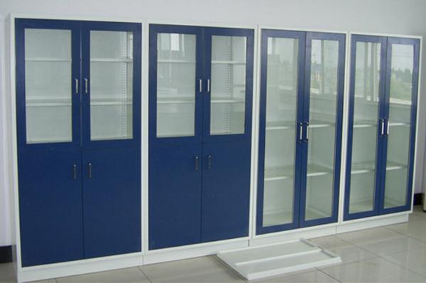 Durable Wall Mounted Storage Cabinets , High Strength Chemistry Lab Furniture
