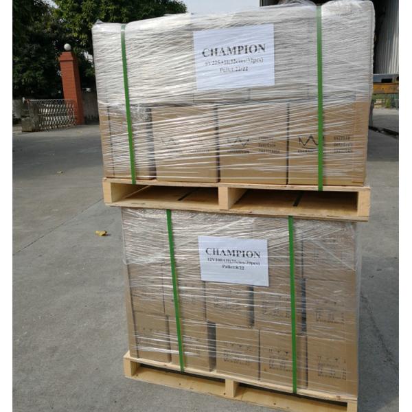 Low Self Discharge 6V Lead Acid Battery 7ah For Security And Alarm System