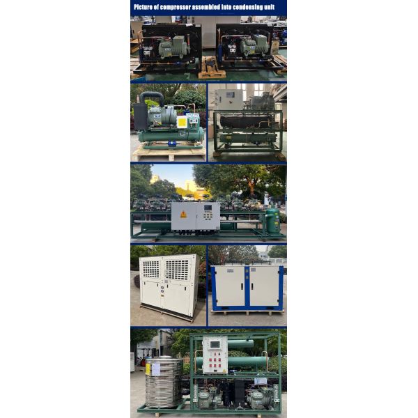 2HP to 50HP R404A Refrigerant Customizable Cold Storage Compressor Semi-hermetic Piston Compressor