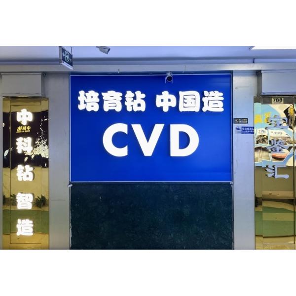 Лаборатория глаза HPHT розовая Equine сделала украшения ювелирных изделий диамантов