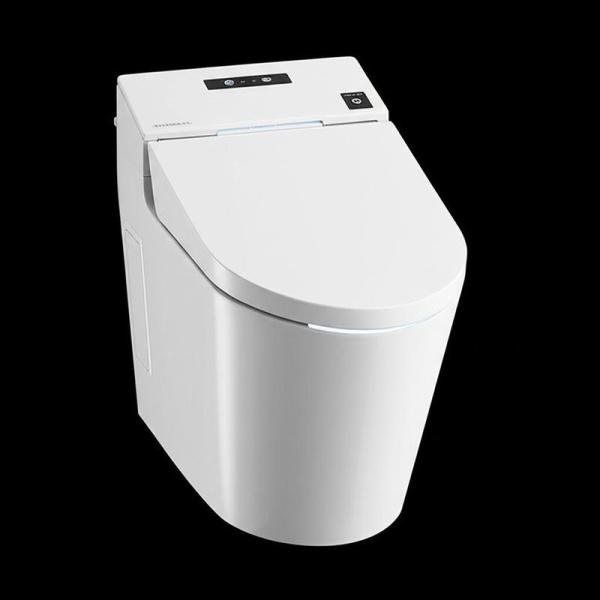 Custom Smart Toilet Bidet Built in Bidet Heated Seat Elongated Japanese Automatic Flush Dryer Night Light Elongated Smart Toilet