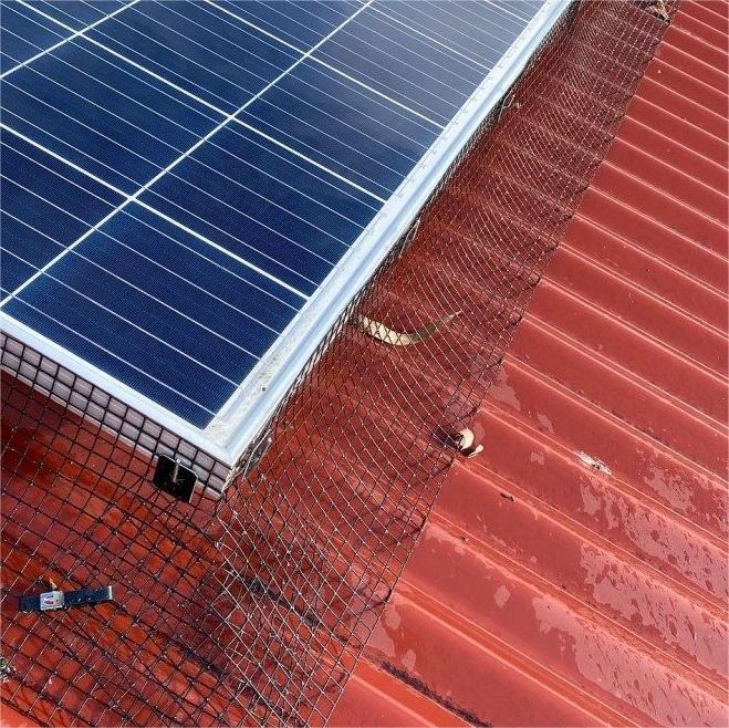 Black PVC Coated Galvanized Steel Solar Panel Bird Guard Mesh with 1/2