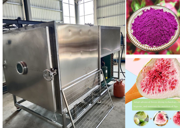 100 кг / партия Stayfresh Freeze Dryer с системой воздушного охлаждения