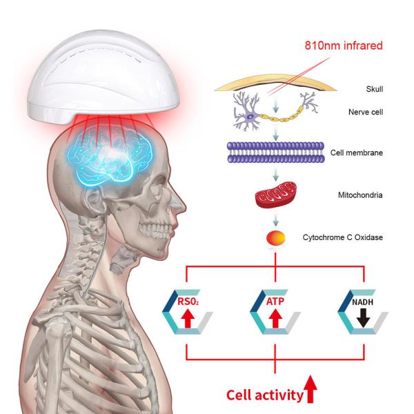 Light Therapy Photobiomodulation Helmet For Traumatic Events