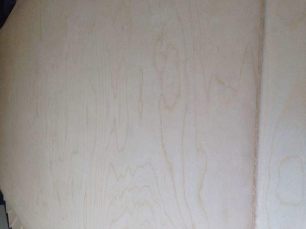 Birch Faced Furniture Decoration Commercial Grade Plywood 12% Moisture