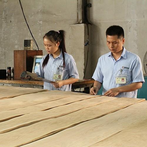 America Red Oak Natural Wood Veneer Slice Cut 0.5mm Thickness For Cabinet And Door Face