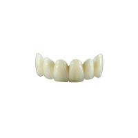 A máscara natural dos bens dentais da coroa do dente da zircônia do laboratório personalizou