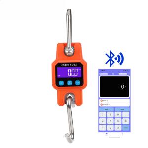 Fonction de verrouillage de l'écran LCD USB rechargeable WH-C06 300KG Grue