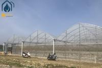 Invernadero de vivero de múltiples tramos de película, invernadero prefabricado para sistema hidropónico