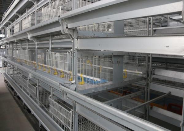 Industrial Broiler House Equipment Wire Chicken Cages ISO9001 Approved