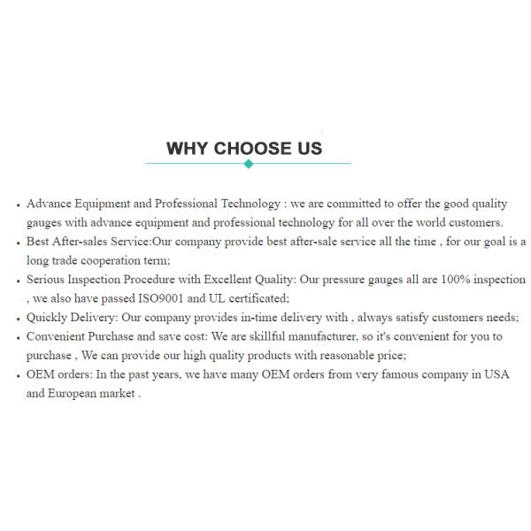 Сухой стальный давлитель 60 мм Манометрный датчик