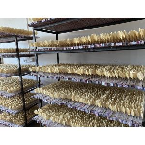 Dongguan Source of Love Jewelry Co., Ltd.