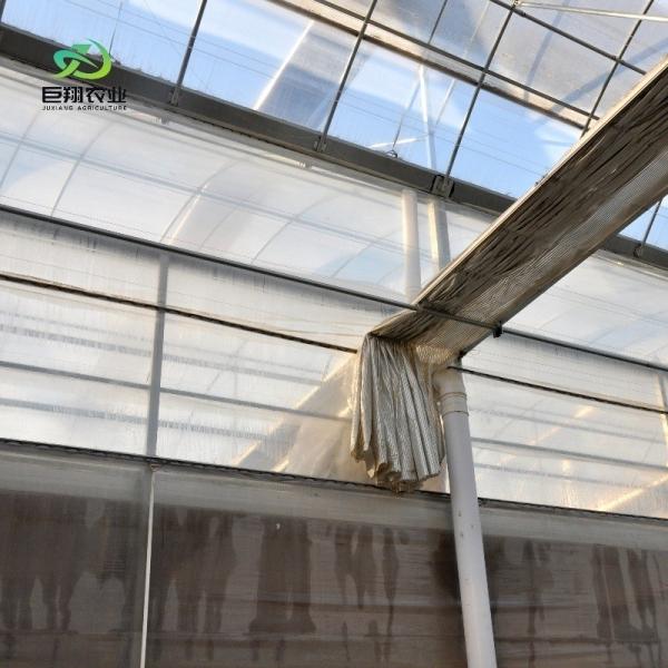 Aquecedor de plástico com telhado com arco, hidroponia com várias faixas, estufa agrícola para exploração agrícola