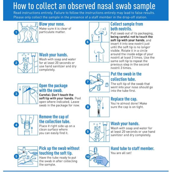 Flocked Anterior Nares Nasal Swab For Clinical Diagnostic